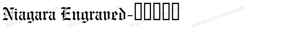 Niagara Engraved字体转换